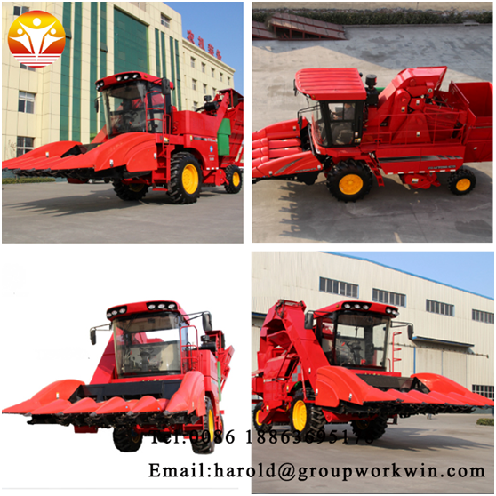 1545623672605500.png image.png