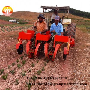 Mechanical vegetable transplanter for sale